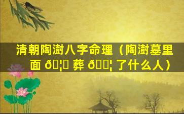 清朝陶澍八字命理（陶澍墓里面 🦍 葬 🐦 了什么人）